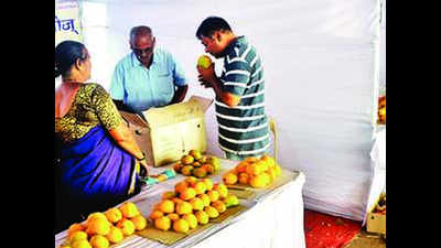 Nashik: 5-day mango festival begins at APMC