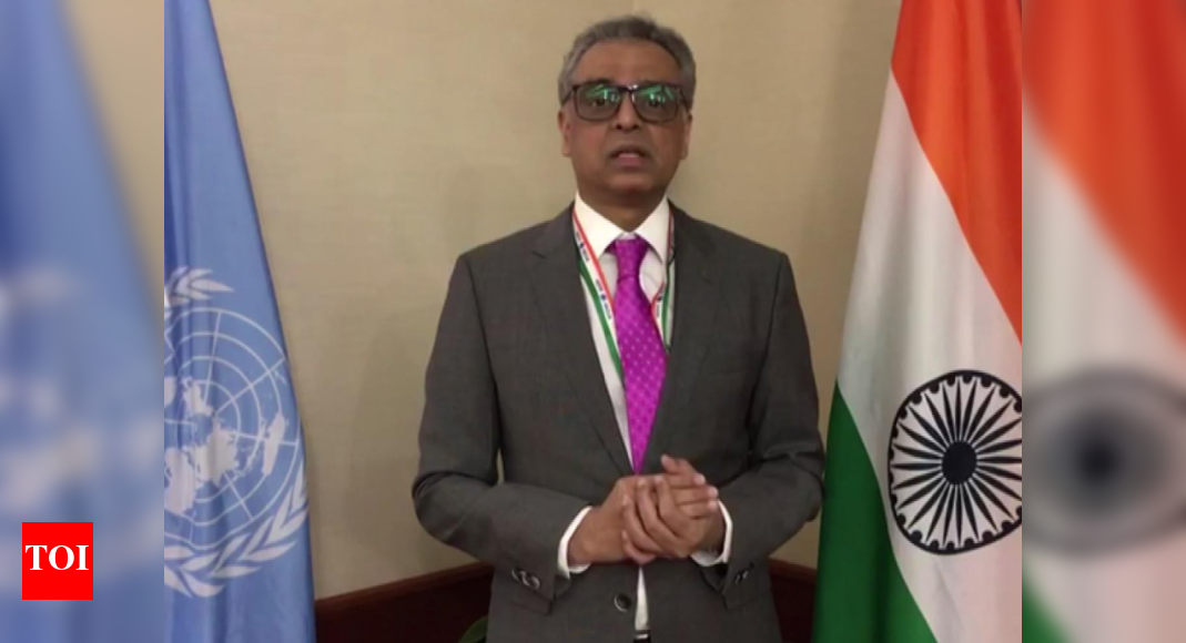 India criticises slow pace of UN Security Council reform process ...
