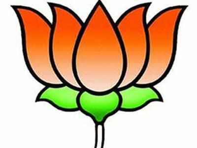 BJP looks for new party chief in Tamil Nadu | Chennai News - Times of India