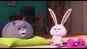 The Secret Life of Pets 2 - Official Hindi Trailer