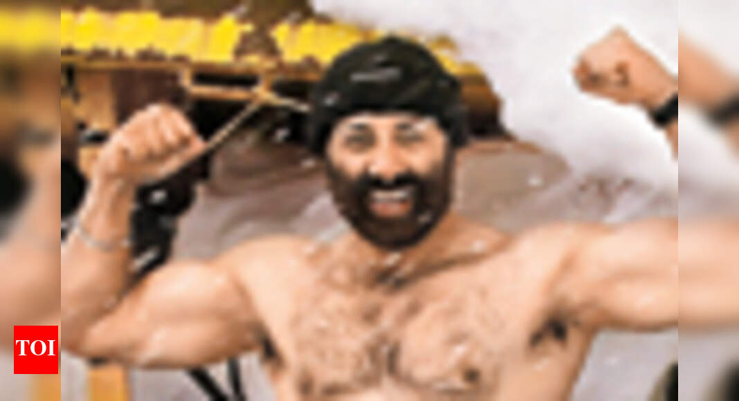 Sunny's on top of the world | Hindi Movie News - Times of India