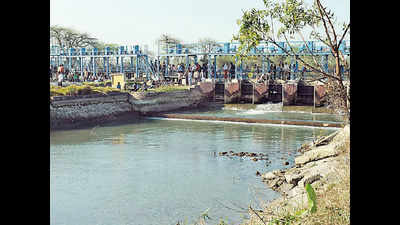 Rising ammonia: Wall in Haryana can help solve Delhi’s water woes