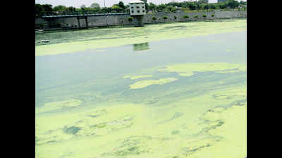 Ahmedabad civic body issues call to clean Sabarmati