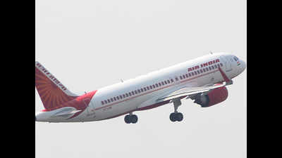 Air India flight from Bengaluru delayed, 206 stranded for 20 hours