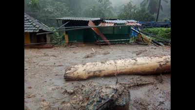 Hit by landslides in 2018, Karnataka village bans advance bookings for homestays, resorts till August 31