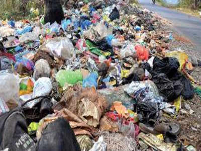 Six North Goa villages resolve to implement ban on plastic bags