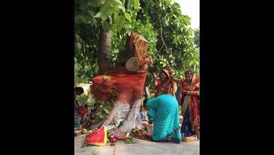City women celebrate Vat Savitri Puja