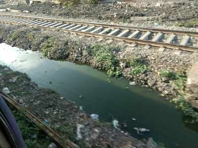 Garbage Along Train Tracks