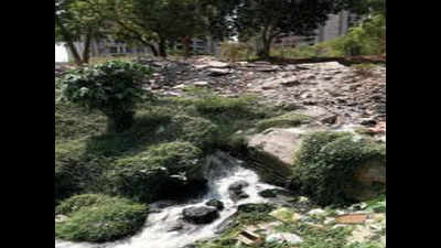 Illegal drainage lines polluting Sabarmati