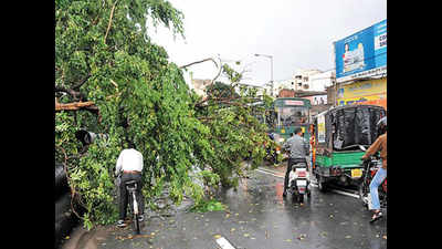 Life thrown out of gear as sudden storm lashes Ranchi