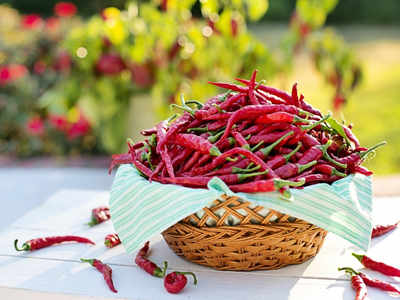 Weight loss: Trying to shed kilos? Have chillies