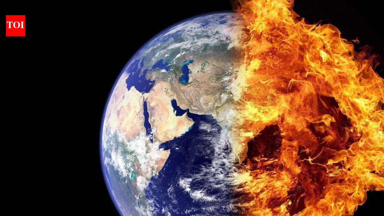 Books to read to understand the current environmental crisis