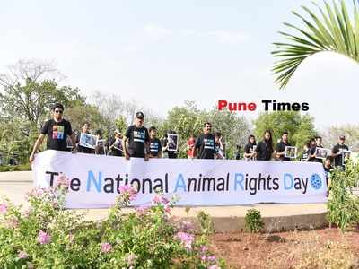 Pune joins hands with animal activists around the globe on National Animal Rights Day