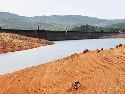 Kolhapur River  water only meant for drinking says 