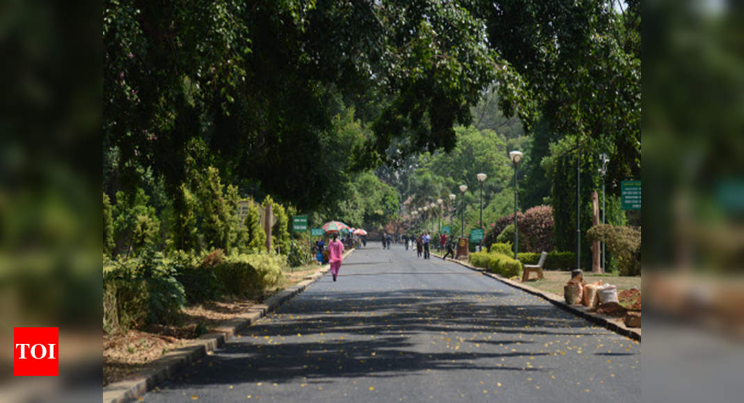 Lalbagh set to bloom through the year | Bengaluru News - Times of India