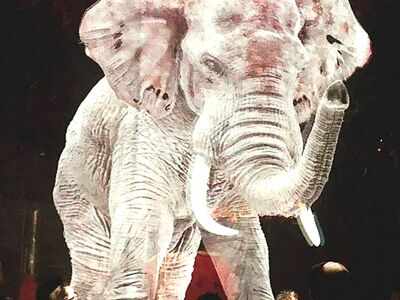 Wow! This German circus is using technology for animal cruelty-free show