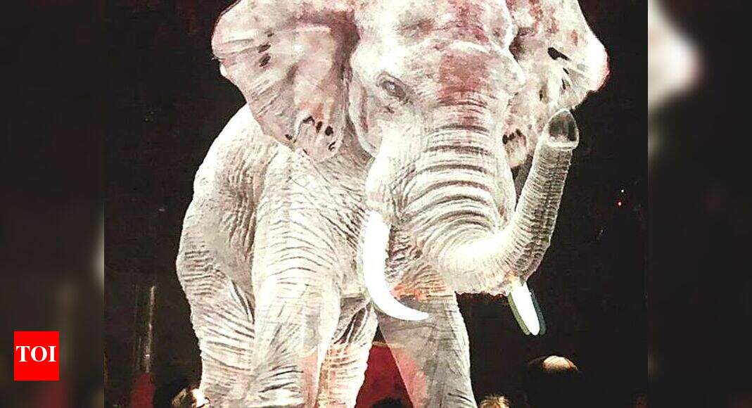 Wow! This German circus is using technology for animal cruelty-free ...