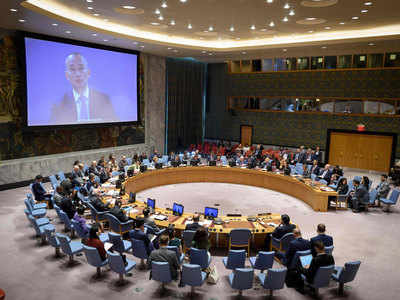 India criticises lack of transparency in functioning of UNSC's Sanctions Committees