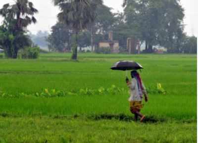 Monsoon expected to arrive in Kerala today