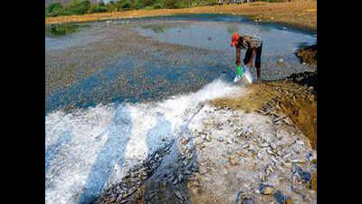 As government fails to act, locals join hands to clear fishkill at Tiruneermalai lake