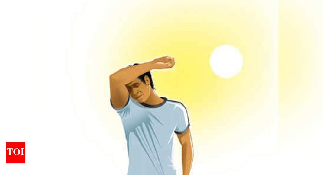 Storm, heat kill 6 in Madhya Pradesh scorched by heatwave Bhopal News Times of India