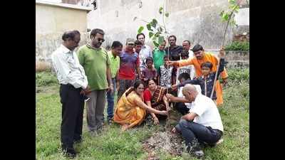 Raipur observes World Environment Day with 25,000 new saplings
