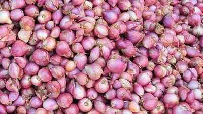 Why do we end up with an onion problem every year?
