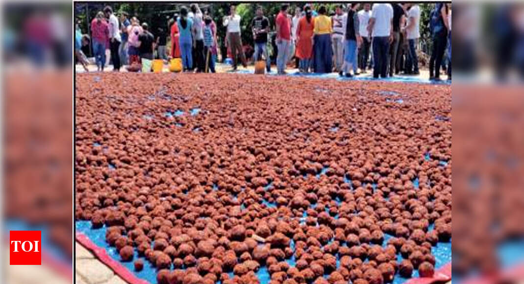 600 Bengalureans Come Together To Make 1 Lakh Seed Balls In 3 Hours