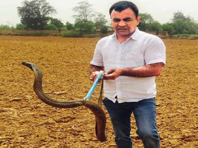 Snake charming: Why serpents don’t deserve the bad rap they get
