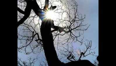 Nowgaon in Madhya Pradesh hottest with 49 degrees Celsius