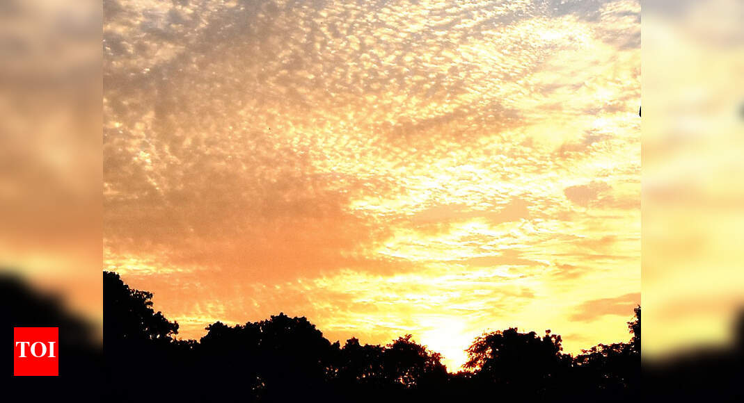 Kolkata to remain hot & humid; heatwave alert in 5 districts Kolkata