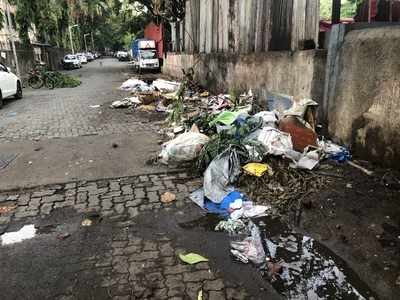 Lane for dumping Garbage