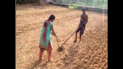 Karnataka: 2 siblings manually plough land for 15 years