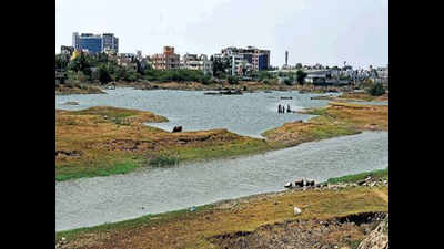 Restored in time, two lakes in Chennai now brim with water