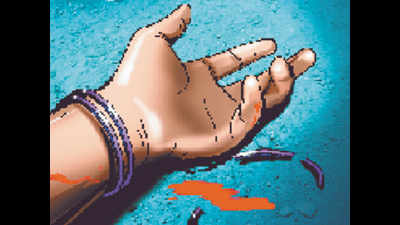 Woman murdered in Jaipur, accused on the run