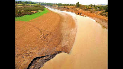 Maharashtra bid to end diversion of Krishna water to Baramati a jolt to Sharad Pawar