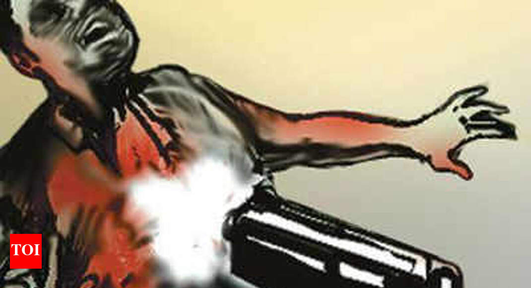 Two Shot Dead In Northeast Delhi | Delhi News