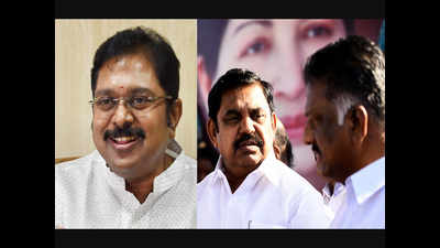 Release white paper on kudimaramath: TTV Dhinakaran to Tamil Nadu govt