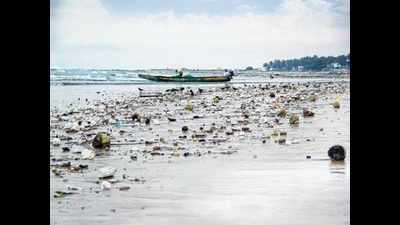 Plastic waste comprises major percentage of debris on river bank and beach: Study