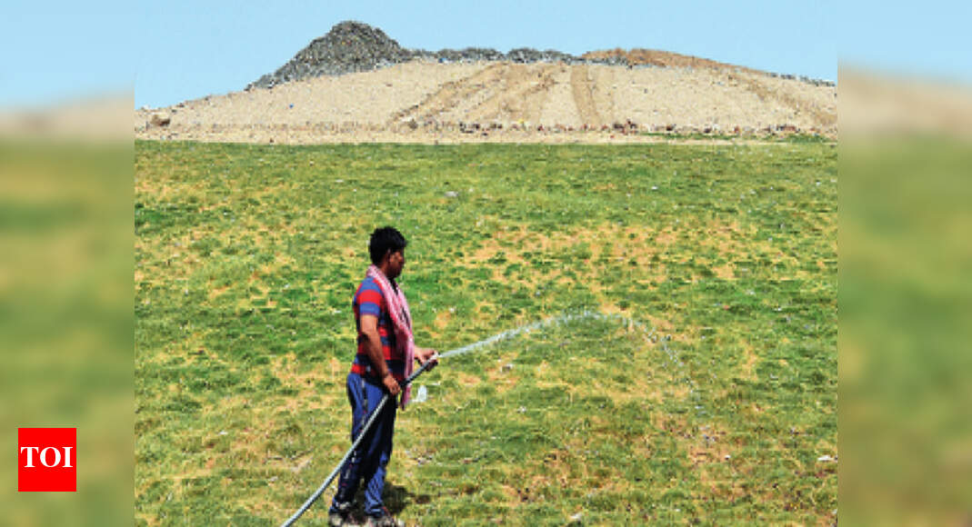 The ugly face of Okhla gets a green lift, landfill to be eco park