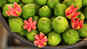 Nutritionist Kavita Devgan talks about the wonder fruit Guava