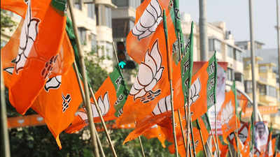 Delhi Assembly poll: BJP to conduct surveys for better selection of candidates