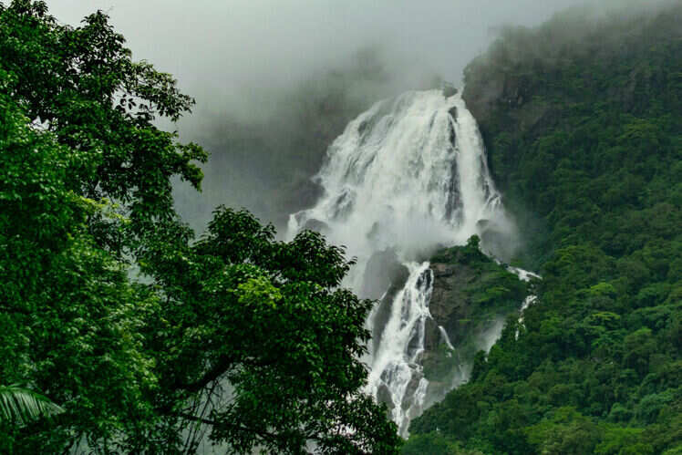 Goa in monsoon | Times of India Travel