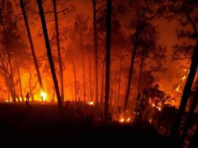 Forest Fire A Serious Issue Pray For Rain Sc India News