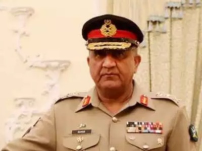 Pakistan Army chief made member of newly established National Development Council