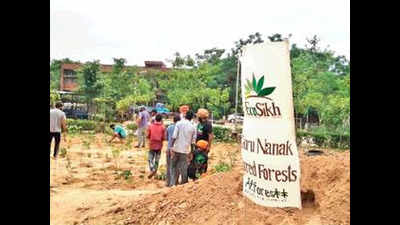 Eco Sikh plants 550 trees of 15 native varieties