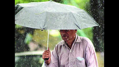 Light rain cools down Meerut