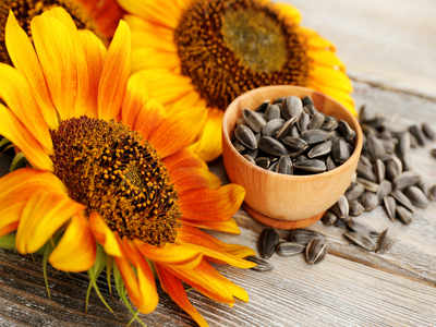 Here's why adding sunflower seeds to your daily diet is a good idea ...