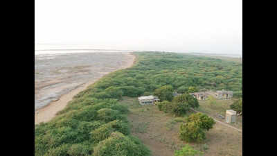 Gujarat to set up body for island development
