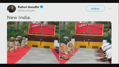 Rahul Gandhi mocks Yoga Day, Indian Army